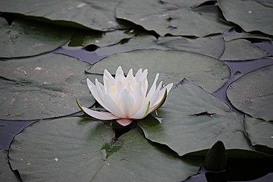 短篇点击解谜作品 《失眠》试玩版今日开放